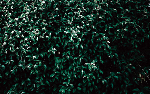 1307573 (a): :2560x1600